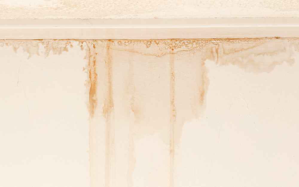 Here’s What You Need To Do When Your Roof Starts Leaking