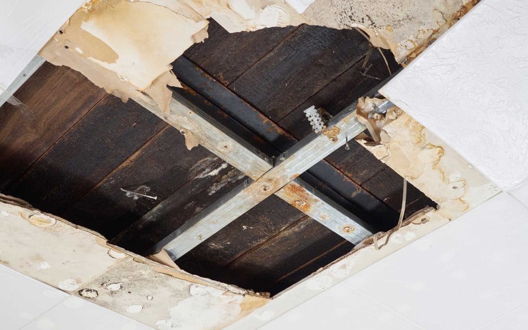 3 Signs that Your Roof is Leaking and What to Do About Them