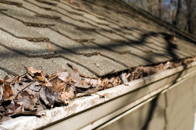 roof maintenance checklist, summer roof maintenance, Washington DC