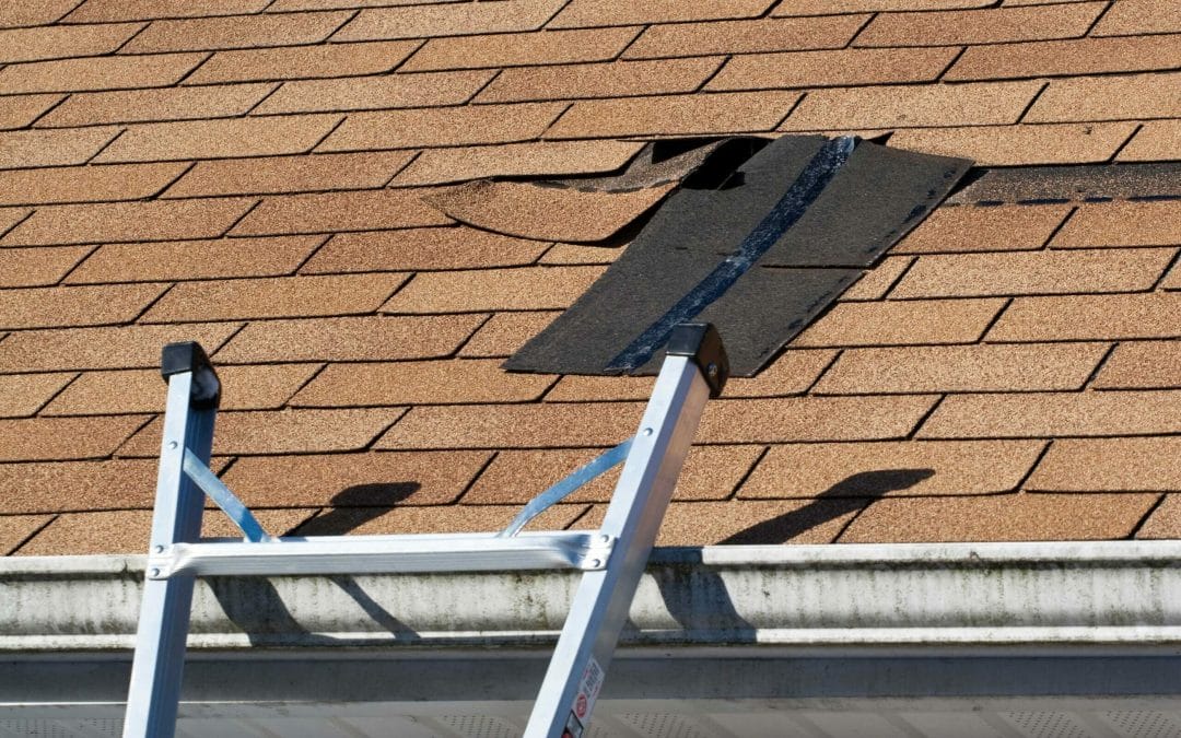 roof maintenance checklist in Washington DC